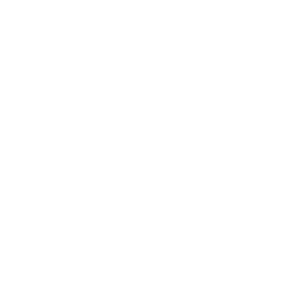 FE Advanced Optical Switches